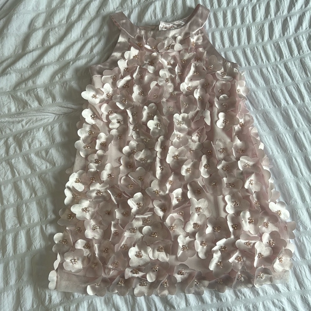 3T Biscotti Toddler 3D floral dress EUC